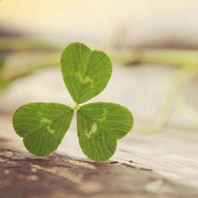 beat365官方app最新版