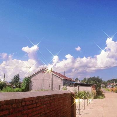 乐发lv彩票app下载安装截图